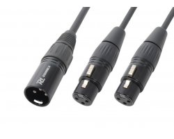 Power Dynamics CX142 kabel Y-splitter 1x XLR (M) - 2x XLR (F) 0,5m